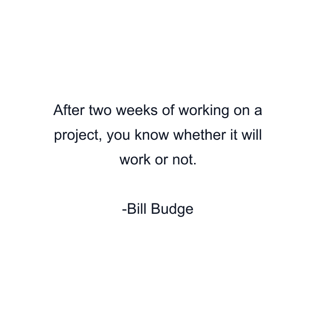 After two weeks of working on a project, you know whether it will work or not.