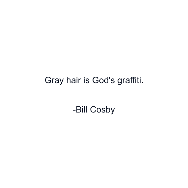 Gray hair is God's graffiti.