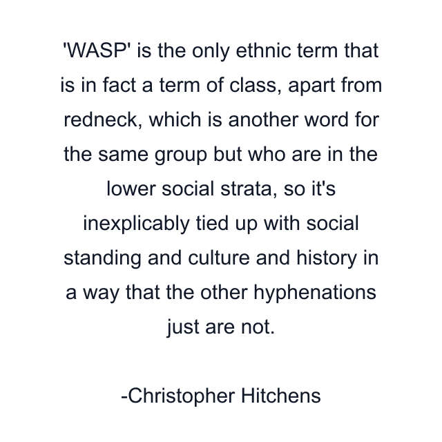 WASP' is the only ethnic term that is in fact a term of class, apart from redneck, which is another word for the same group but who are in the lower social strata, so it's inexplicably tied up with social standing and culture and history in a way that the other hyphenations just are not.