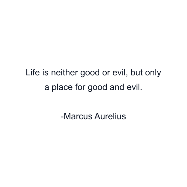Life is neither good or evil, but only a place for good and evil.