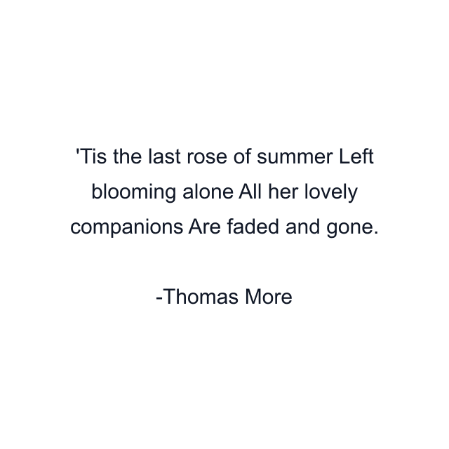 Tis the last rose of summer Left blooming alone All her lovely companions Are faded and gone.