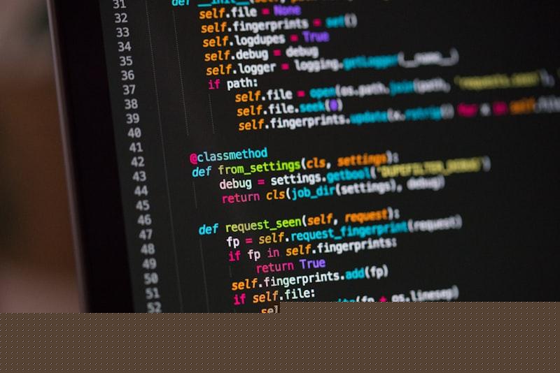 Programming languages for 2024